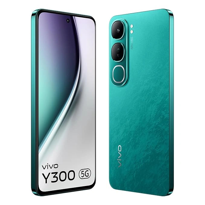 y300