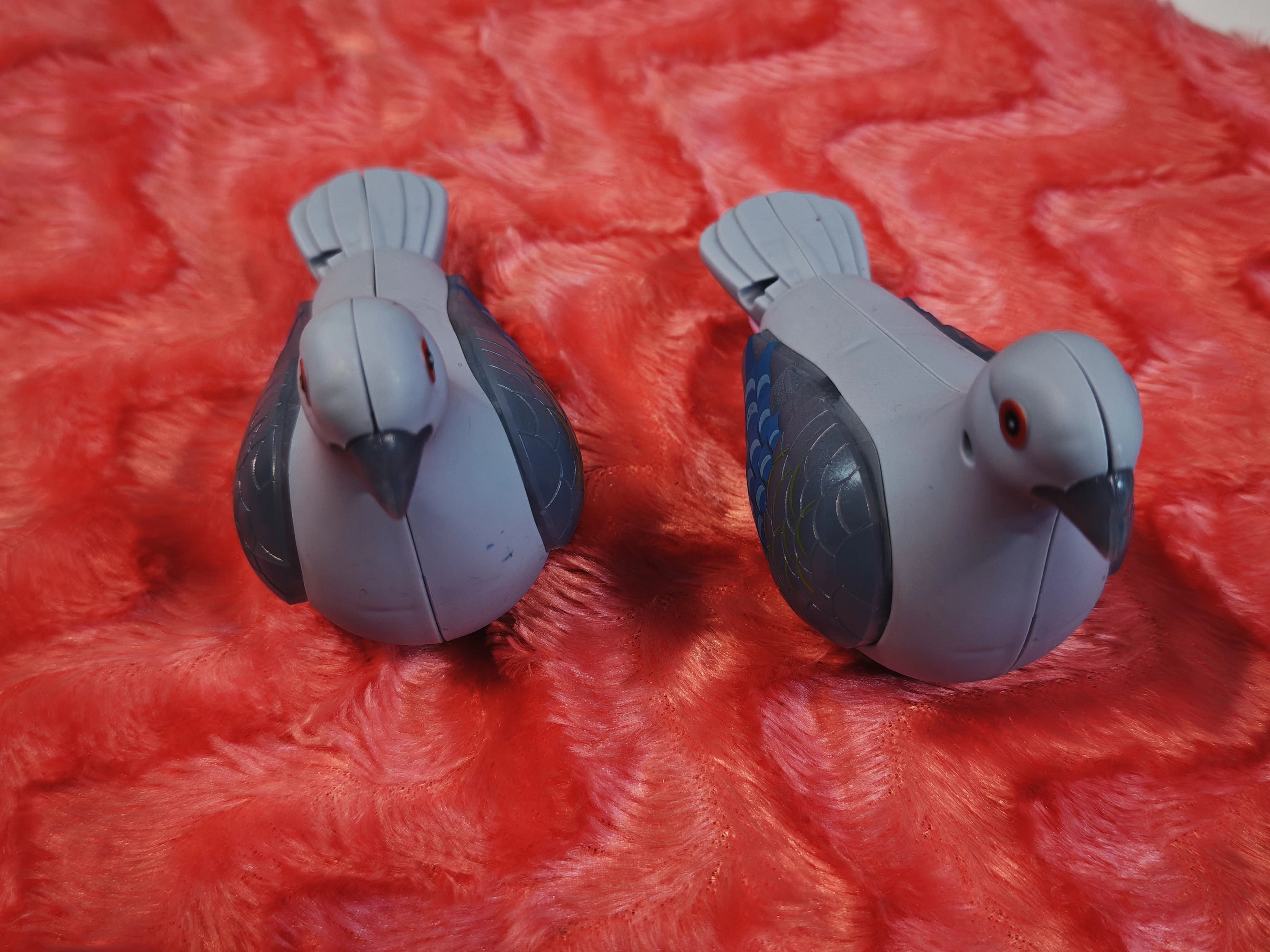 pullback pigeon